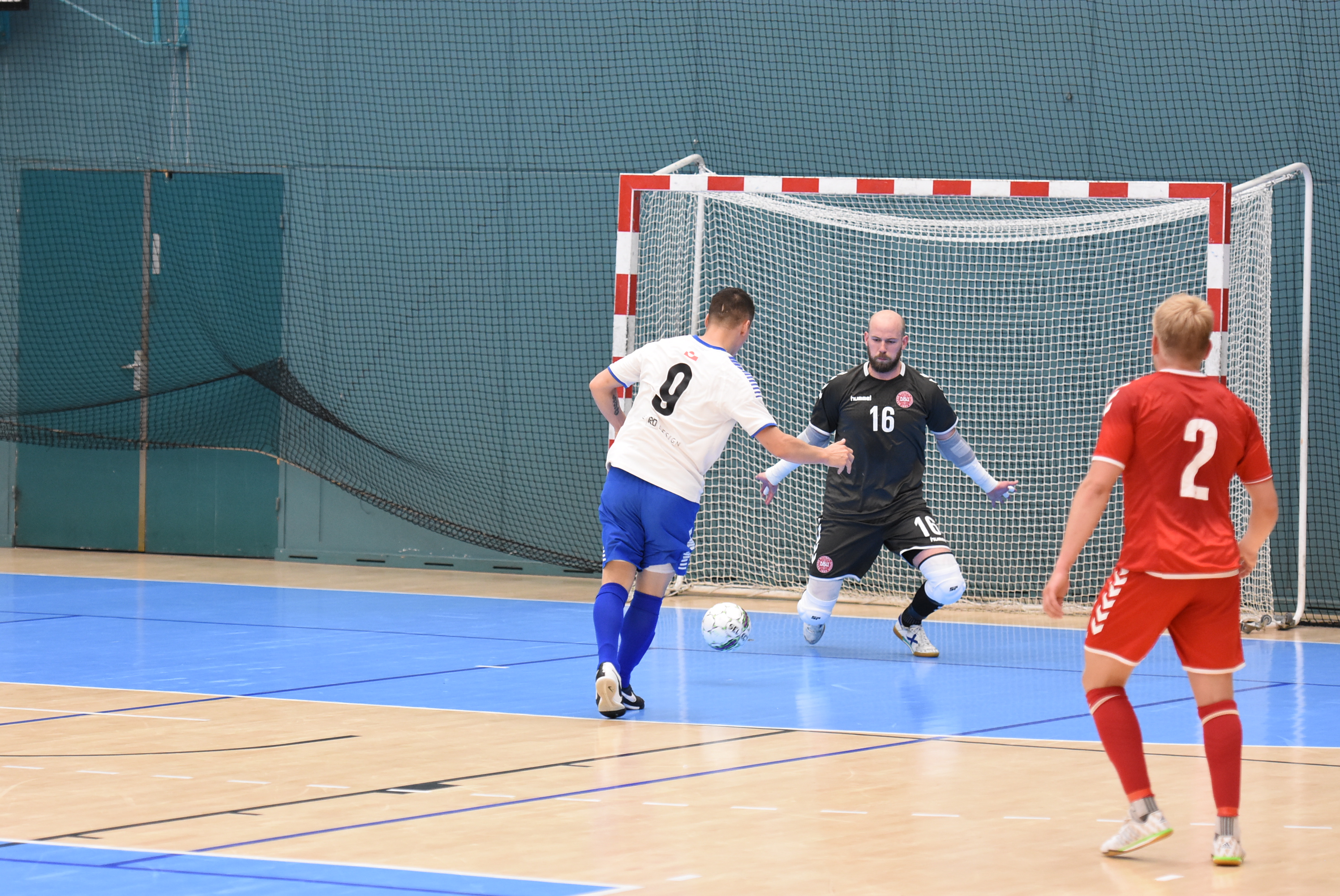 DSC_8711.JPG DSC_8711.JPG